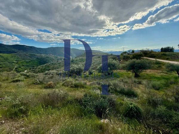 Terreno en Canillas de Aceituno