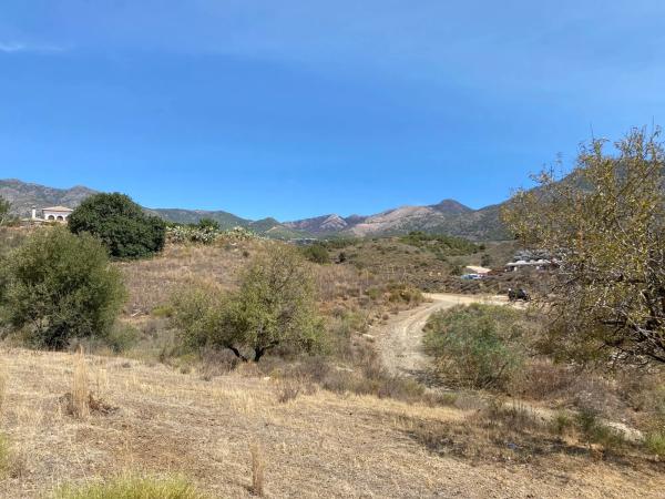 Terreno en camino de la Cantera