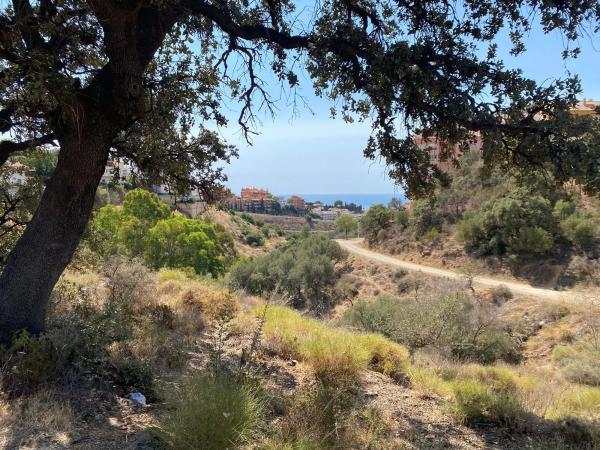 Terreno en camino de la Cantera