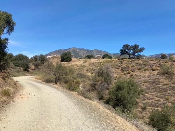 Terreno en camino de la Cantera