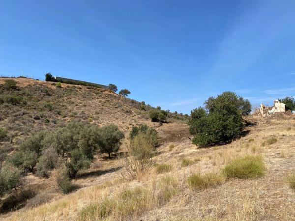 Terreno en camino de la Cantera