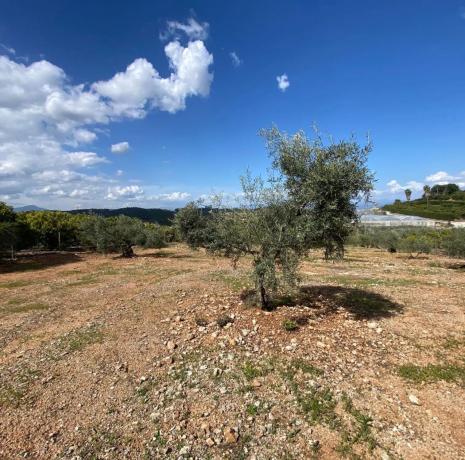 Terreno en Lugar las Torres