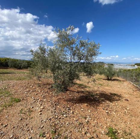Terreno en Lugar las Torres