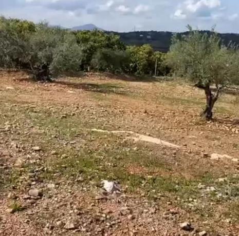 Terreno en Lugar las Torres