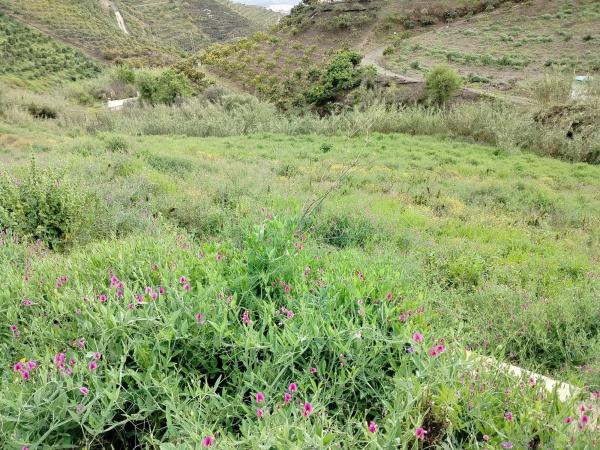 Terreno en trina s/n