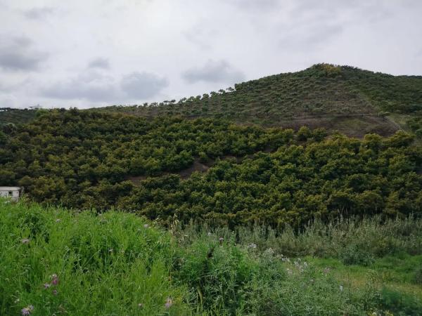 Terreno en trina s/n