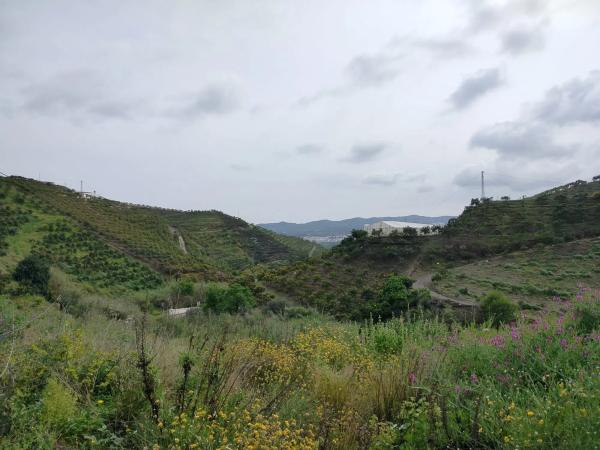 Terreno en trina s/n