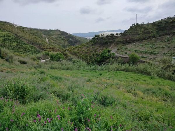 Terreno en trina s/n