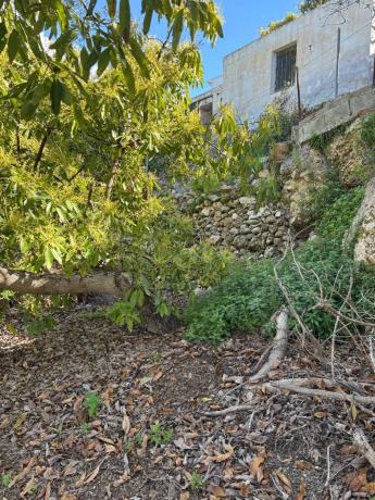 Terreno en Frigiliana
