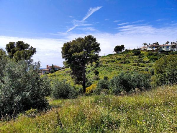 Terreno en calle Torcal, 20