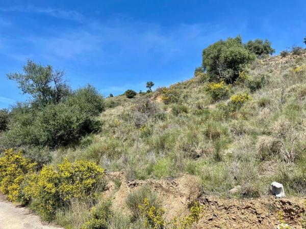 Terreno en calle Artesanía, 163