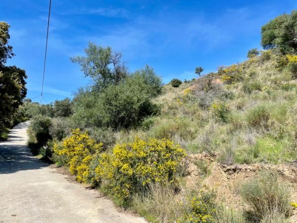 Terreno en calle Artesanía, 163