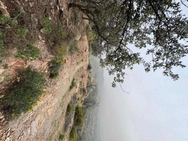 Terreno en calle Artesanía, 163