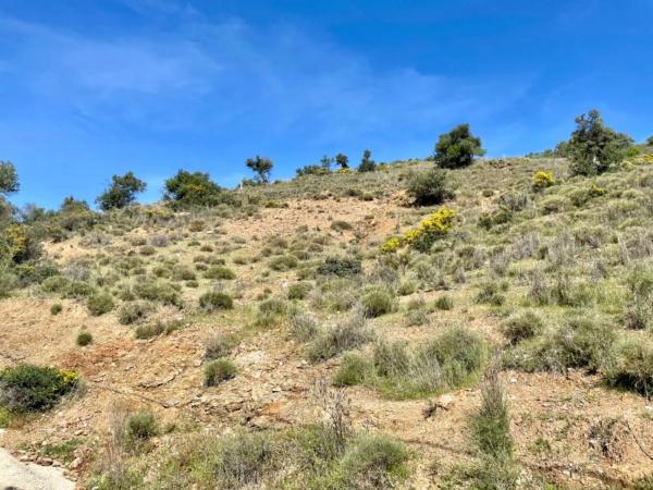Terreno en calle Artesanía, 163