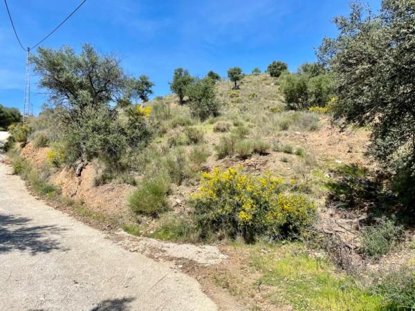 Terreno en calle Artesanía, 163