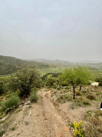 Terreno en calle Artesanía, 163