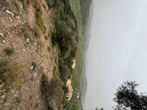 Terreno en calle Artesanía, 163