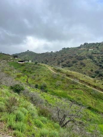 Terreno en calle Cancula, 1