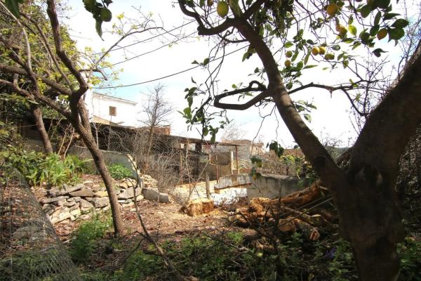 Terreno en calle Coin, 65