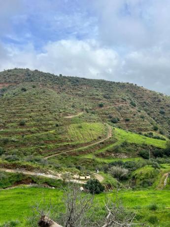 Terreno en calle Cancula, 1