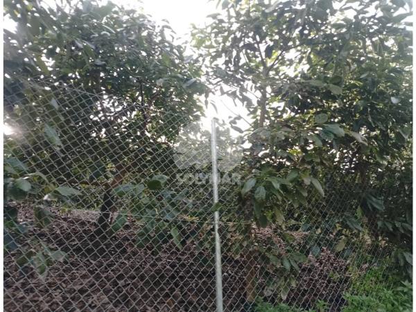 Terreno en Diseminado Cabrillas