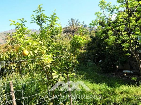 Terreno en Canillas de Aceituno