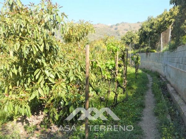 Terreno en Canillas de Aceituno