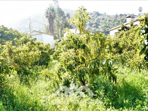 Terreno en Canillas de Aceituno