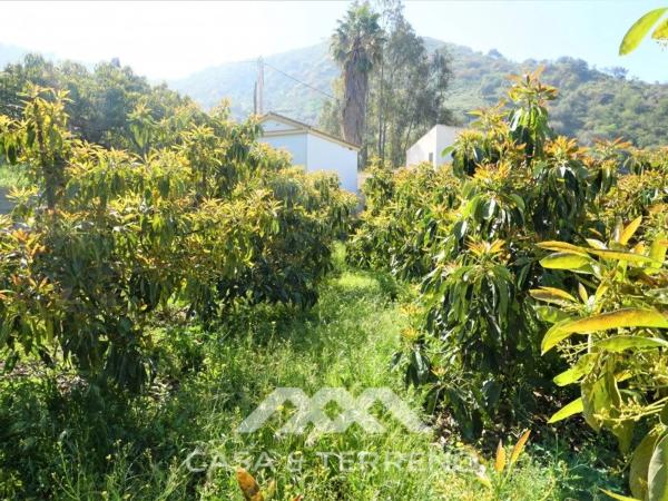 Terreno en Canillas de Aceituno