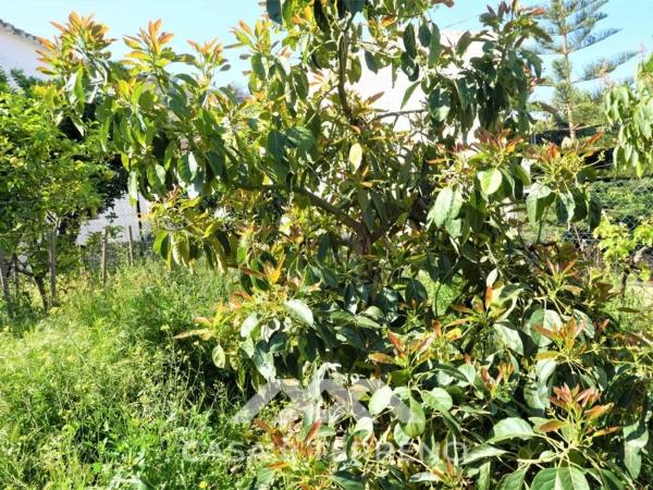 Terreno en Canillas de Aceituno