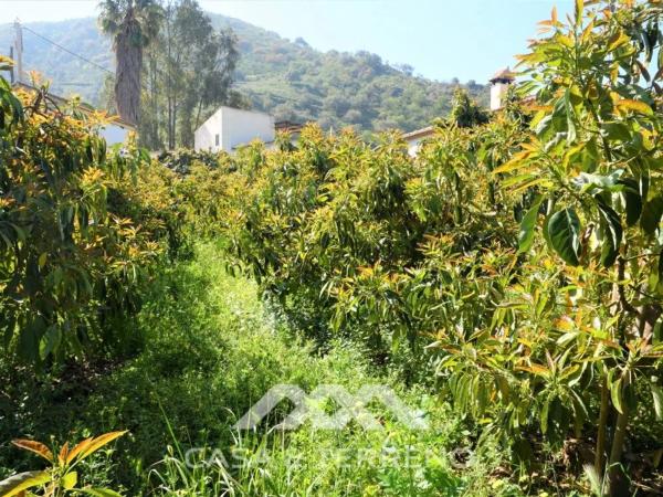 Terreno en Canillas de Aceituno