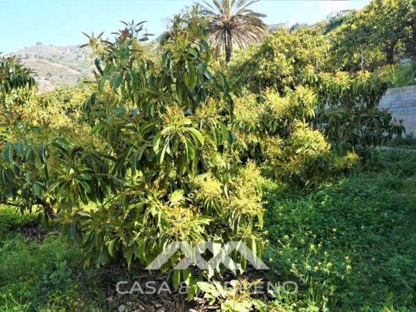 Terreno en Canillas de Aceituno