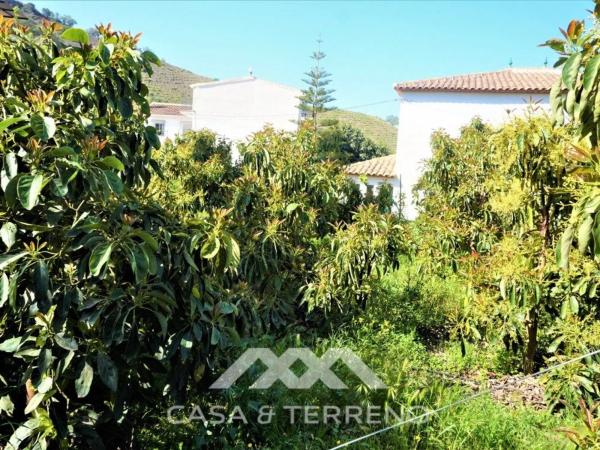 Terreno en Canillas de Aceituno