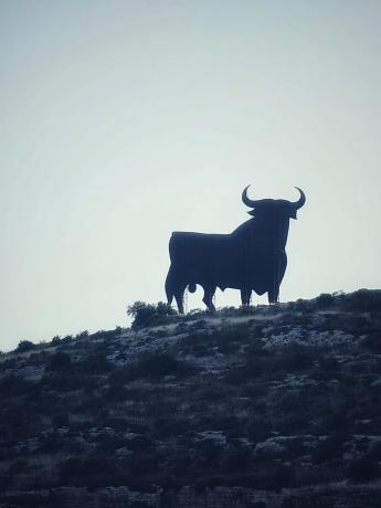 Terreno en Almayate Bajo