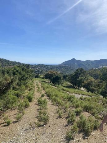 Terreno en La Zagaleta, 1