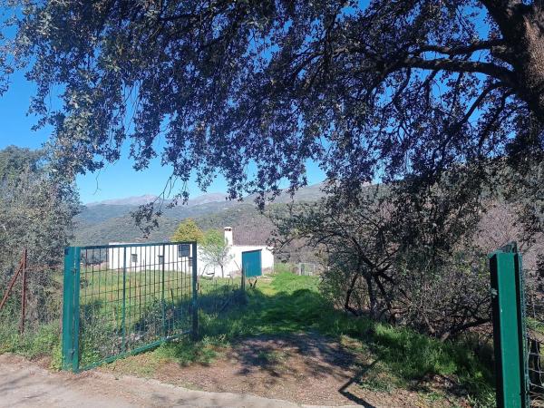 Terreno en camino del Molino s/n Sn