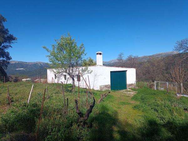 Terreno en camino del Molino s/n Sn