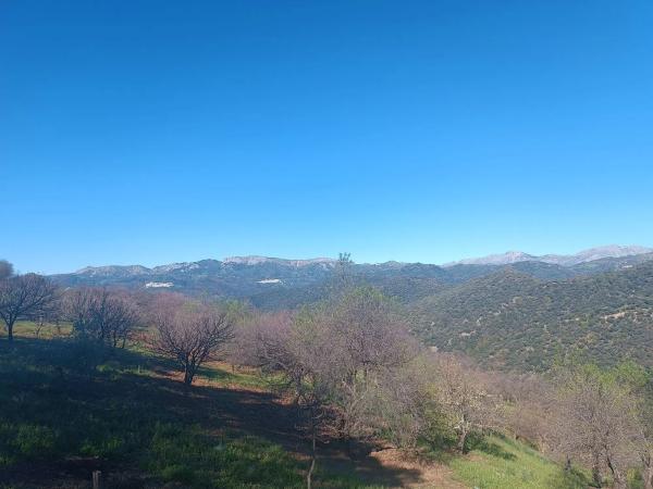 Terreno en camino del Molino s/n Sn