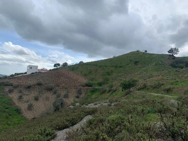 Terreno en calle los Ventorros, 2