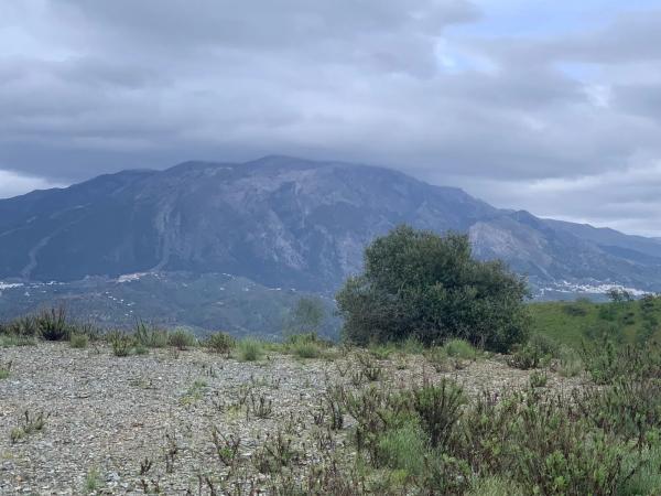 Terreno en calle los Ventorros, 2