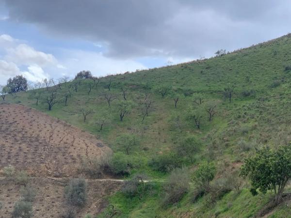 Terreno en calle los Ventorros, 2