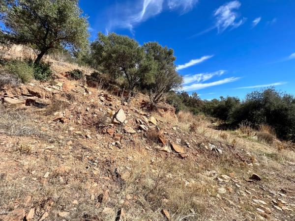Terreno en carretera de Lomas de Marbella, 182