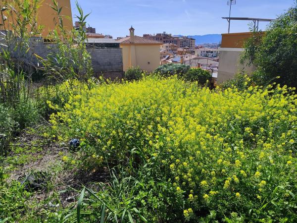 Terreno en calle Pérez de Ayala, 14