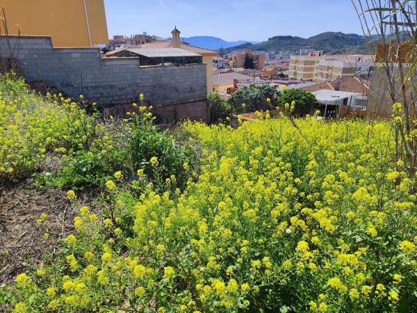 Terreno en calle Pérez de Ayala, 14