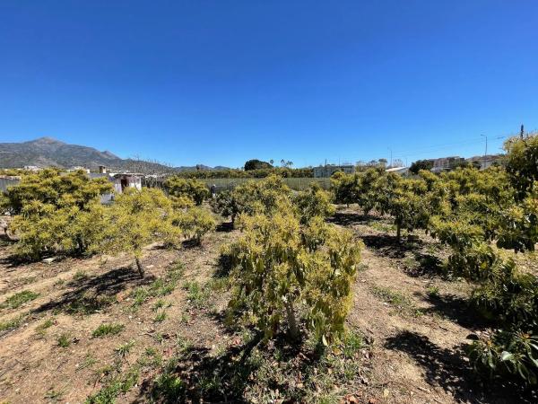 Terreno en carretera de Almería, km 1