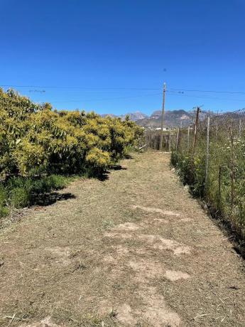 Terreno en carretera de Almería, km 1