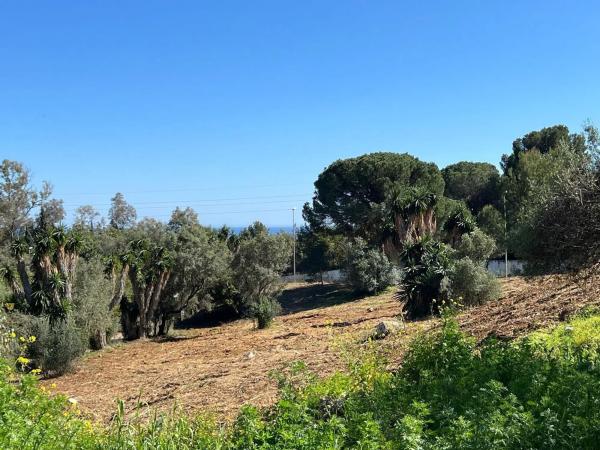 Terreno en avenida Buchinger