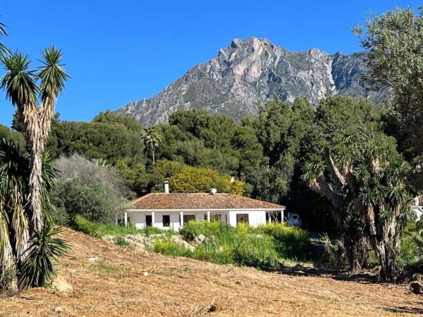 Terreno en avenida Buchinger