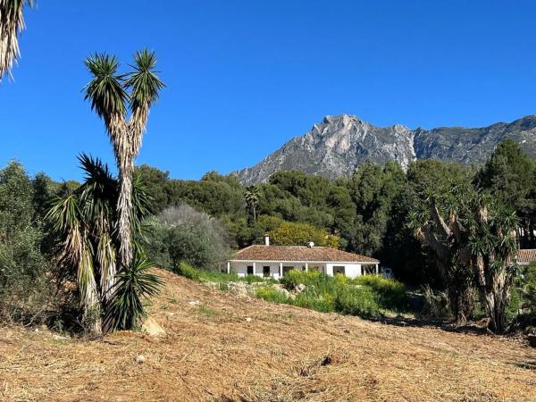 Terreno en avenida Buchinger
