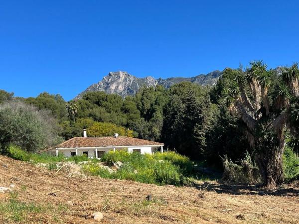 Terreno en avenida Buchinger